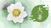 【二十四節(jié)氣灸】大暑節(jié)氣：記得艾灸，趁暑化濕解冬病！